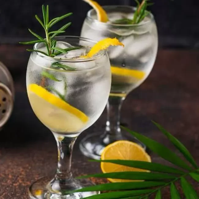 Gin Tônica
